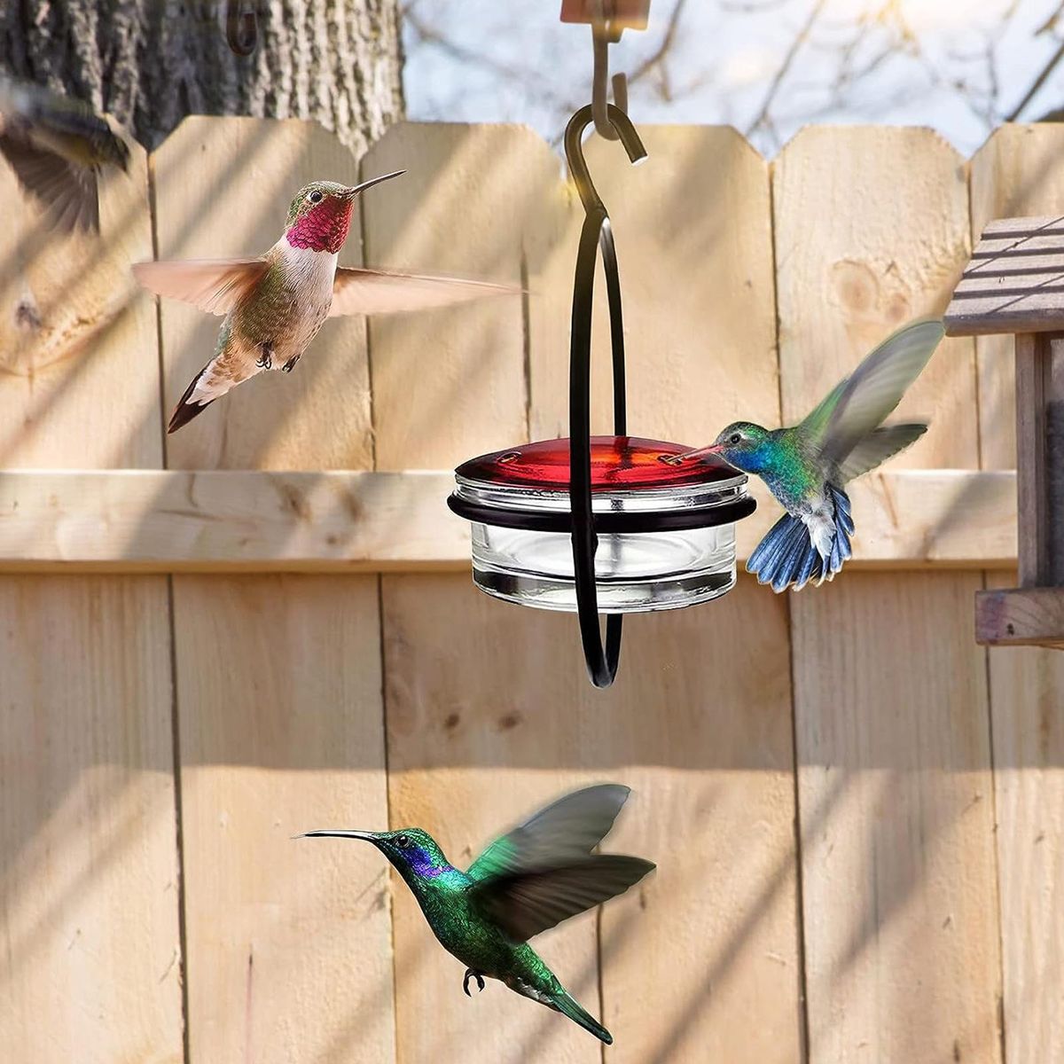 Patio Bird Feeder Easy-fill Hummingbird Feeder Capacity Leak-proof Black
