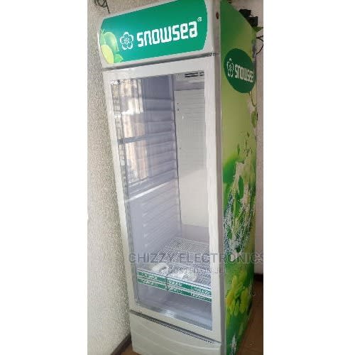 Fast Cooling 4 Steps Upright Showcase Cooling Fridge - 263L - Lc-500