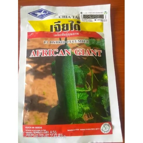 cu999 African Giant F1 Hybrid Cucumber Seed - 50g