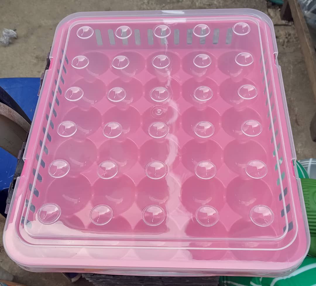 30 Space X 1 Egg Tray & Cover For Safety Keep Of Your Eggs