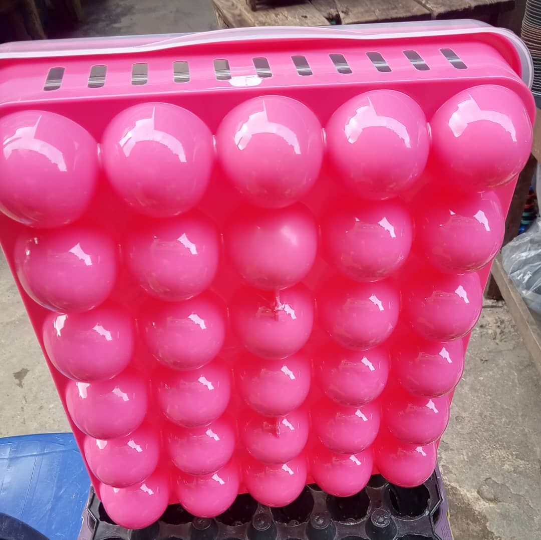 30 Space X 1 Egg Tray & Cover For Safety Keep Of Your Eggs