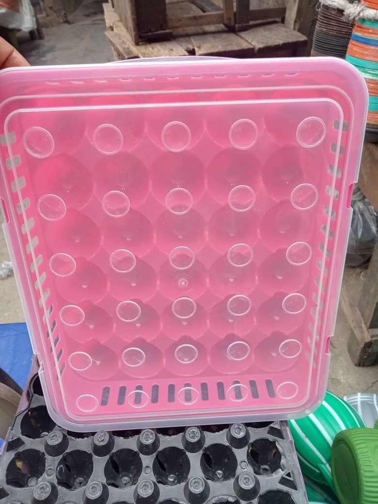 30 Space X 1 Egg Tray & Cover For Safety Keep Of Your Eggs