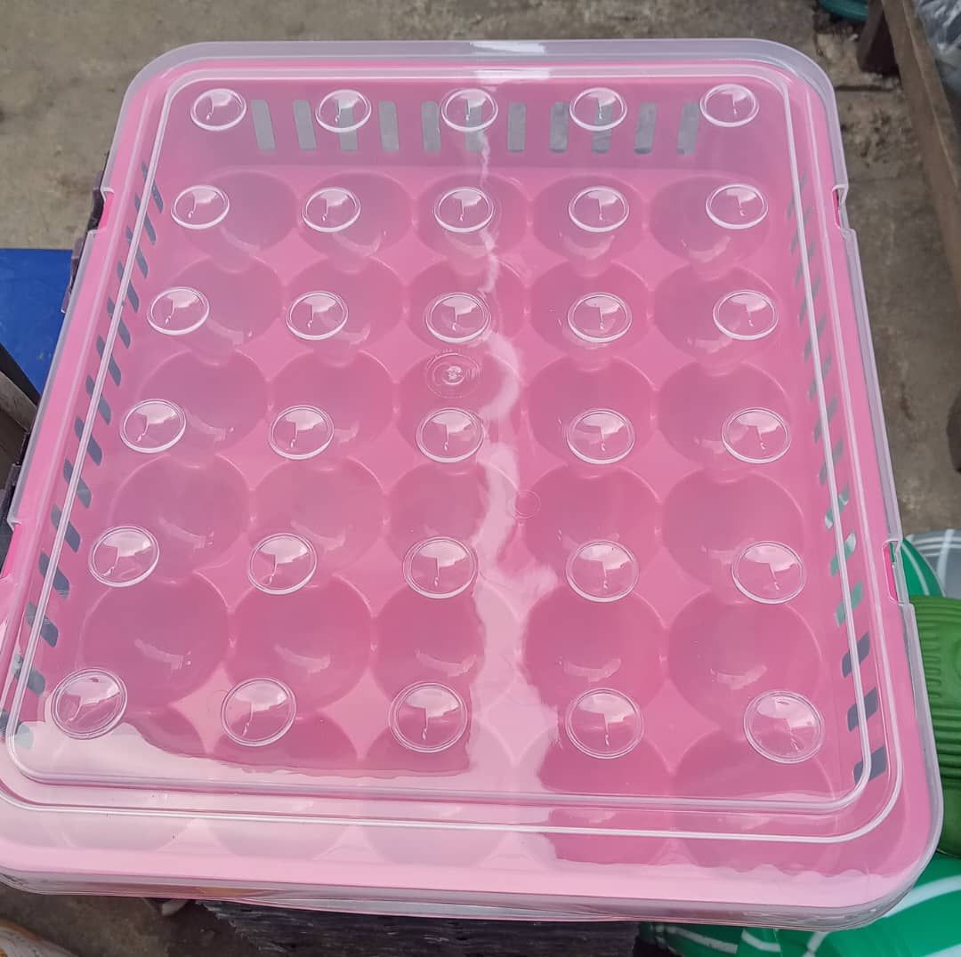 30 Space X 1 Egg Tray & Cover For Safety Keep Of Your Eggs
