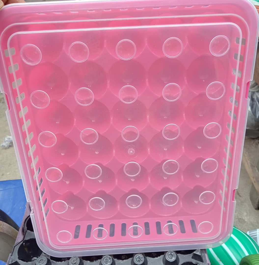 30 Space X 1 Egg Tray & Cover For Safety Keep Of Your Eggs
