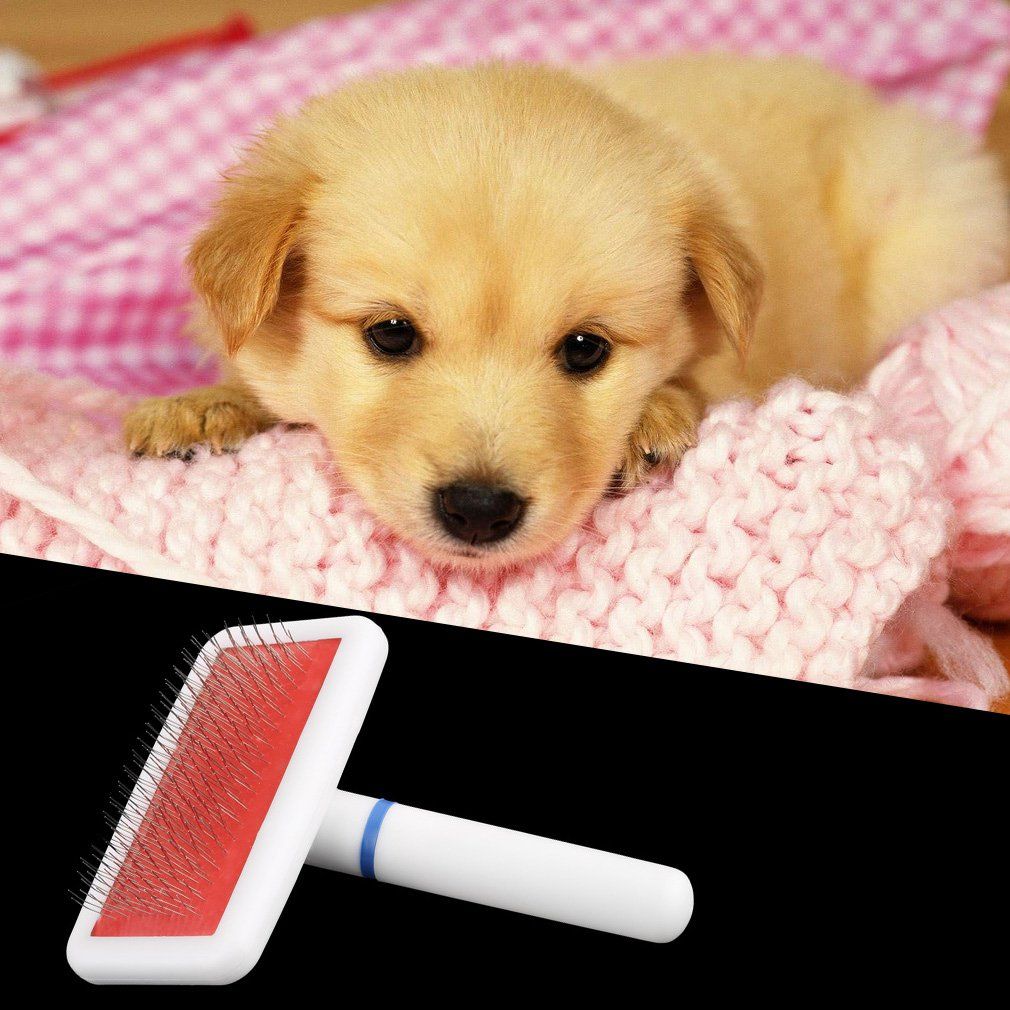 OR Pet Puppy Dog Cat Hair Grooming Trimmer Flea Comb Gilling Brush Slicker Tool Ly Delivered