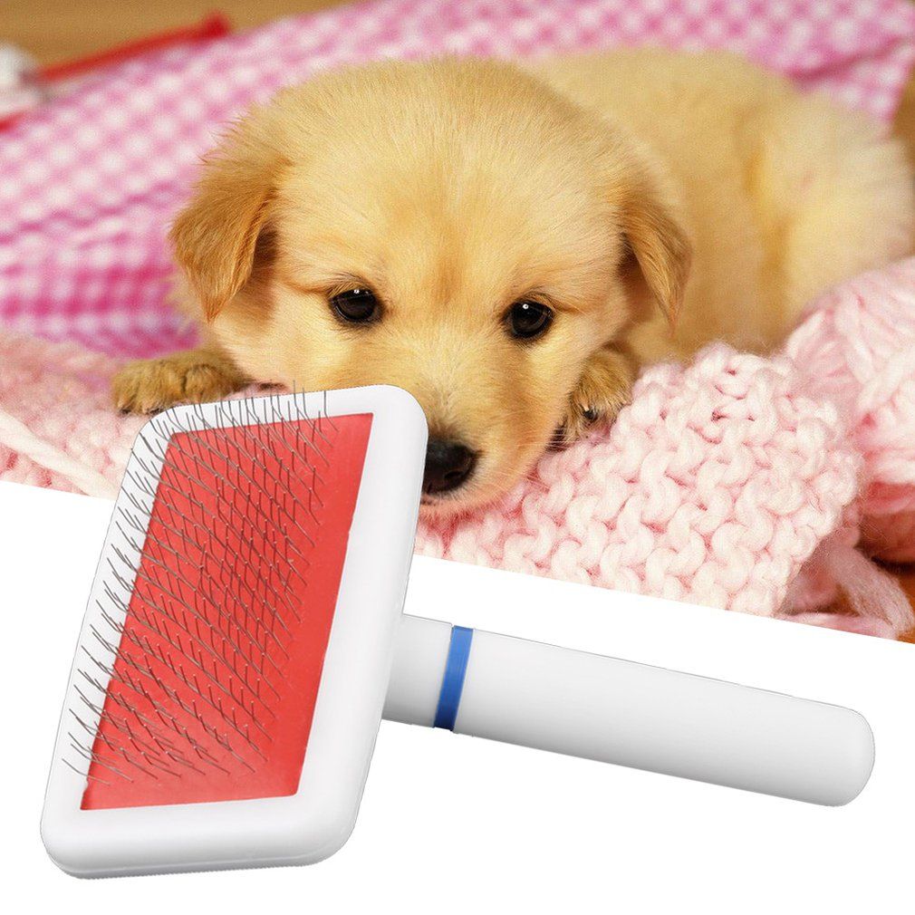 OR Pet Puppy Dog Cat Hair Grooming Trimmer Flea Comb Gilling Brush Slicker Tool Ly Delivered