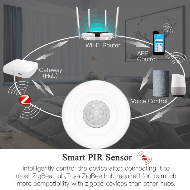 System Smart PIR Motion Tuya Smart Life With IFTTT PIR