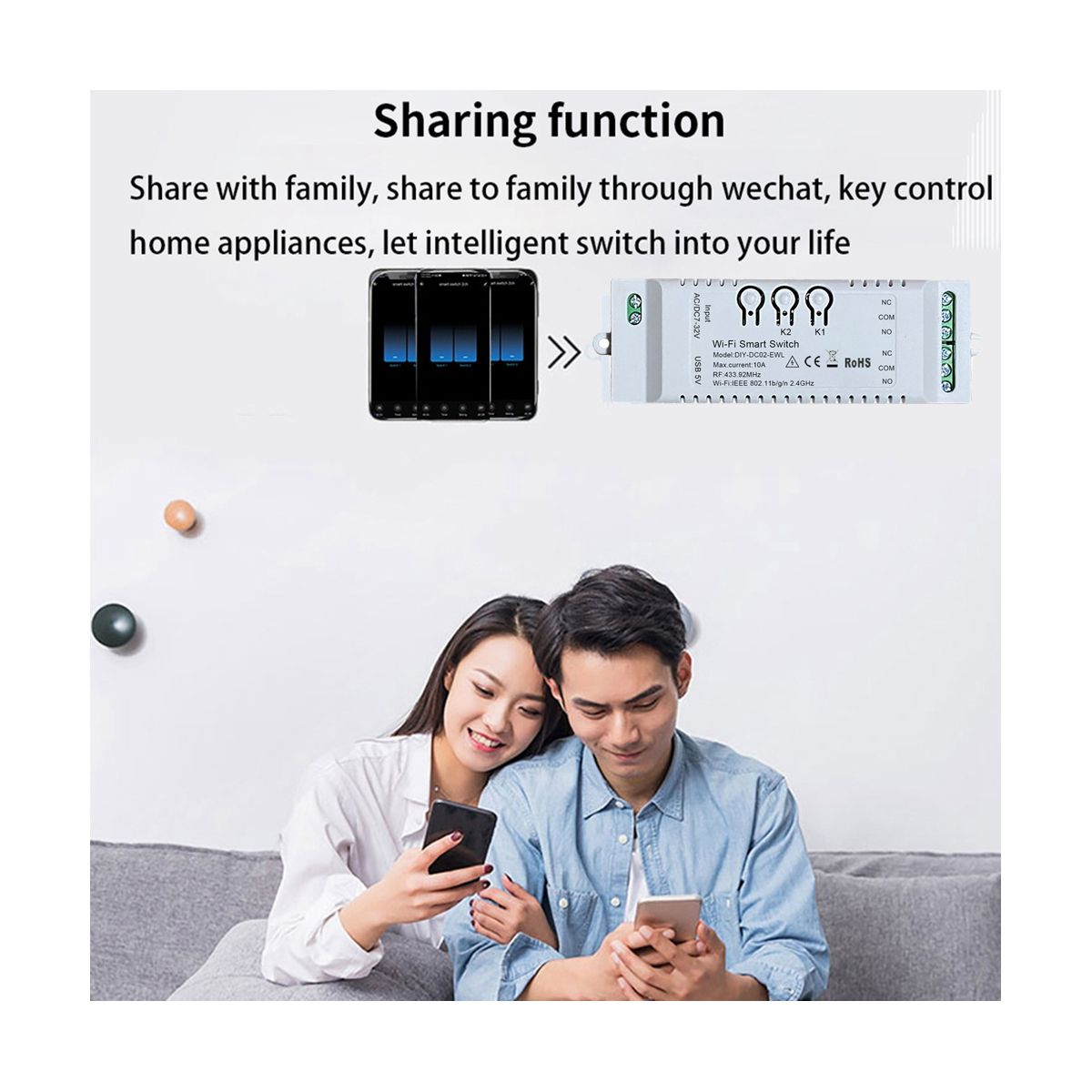 2CH WiFi Smart Switch DIY Timer+Remote 7-32V WiFi+RF433+BT