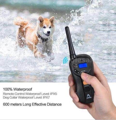 Remote Dog Trainer Safety No Necklace Blind Operating Sound Vibration Charging Dog Trainer