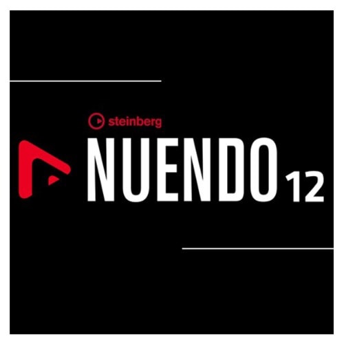 Steinberg Nuendo 12 For Windows