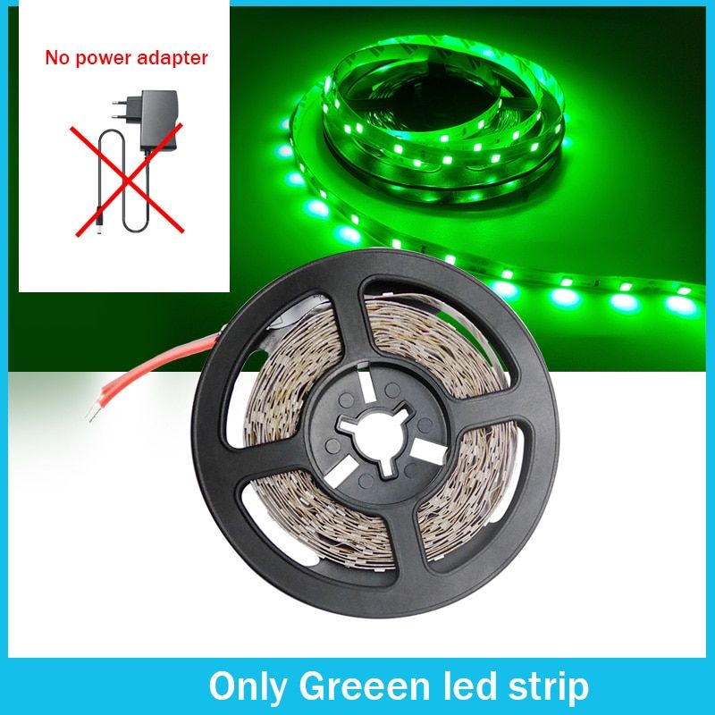 RGB 300 LED Strip Light 5m 60LEDs/m 5050 SMD 2835 White Warm White Red Blue LED Strip 12V Waterproof Flexible Tape Rope Stripe-Green Only Strip-IP20 No -5M 2835-