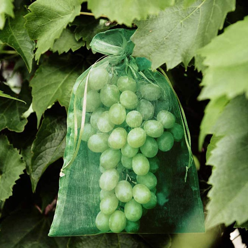 50/100pcs Garden Drawstring Netting Bags Fruit Vegetable Grapes Mesh Bag Against Insect-Wine Red 18x13cm