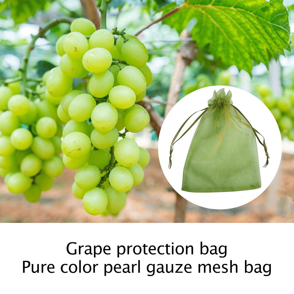 50/100pcs Garden Drawstring Netting Bags Fruit Vegetable Grapes Mesh Bag Against Insect-Wine Red 18x13cm