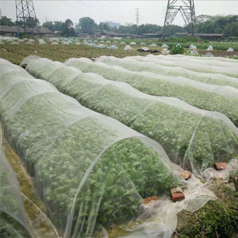 Garden Vegetable Protective Mesh Net Greenhouse Plant Pest Control Anti-bird Insect-2x10m