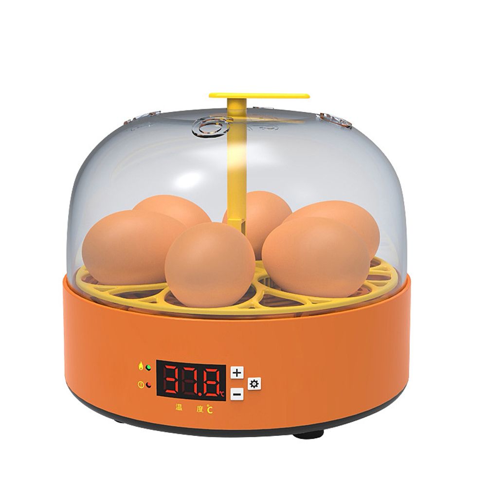 6 Eggs Children Experimental Eggs Incubator Chicken