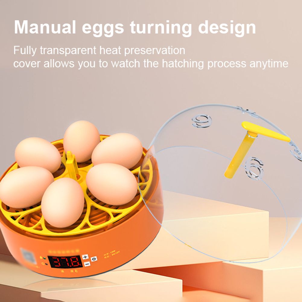 6 Eggs Children Experimental Eggs Incubator Chicken