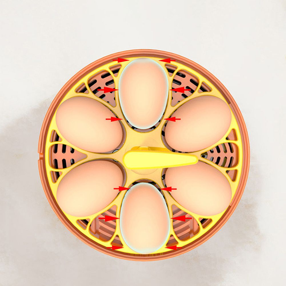 6 Eggs Children Experimental Eggs Incubator Chicken
