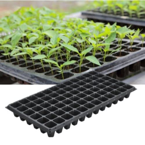 Seedling Tray - 50 Pack - 128 Holes/ Cells