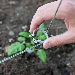 Trellis Clip For Plants And Crops - Pack Of 500 Pieces