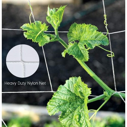 2m X 100m Staking Net For Cucumber- - 10 Pieces