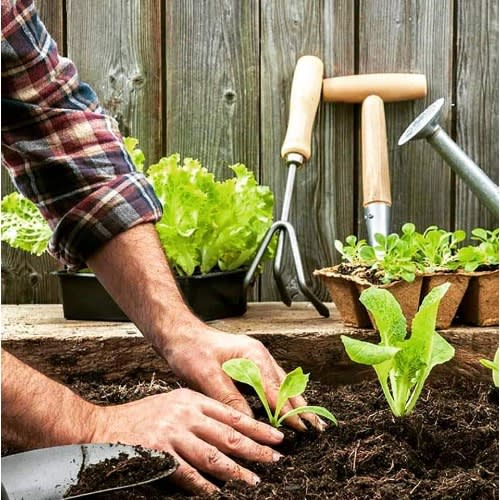 Coco Peat - Washed & Buffered - 5kg Block