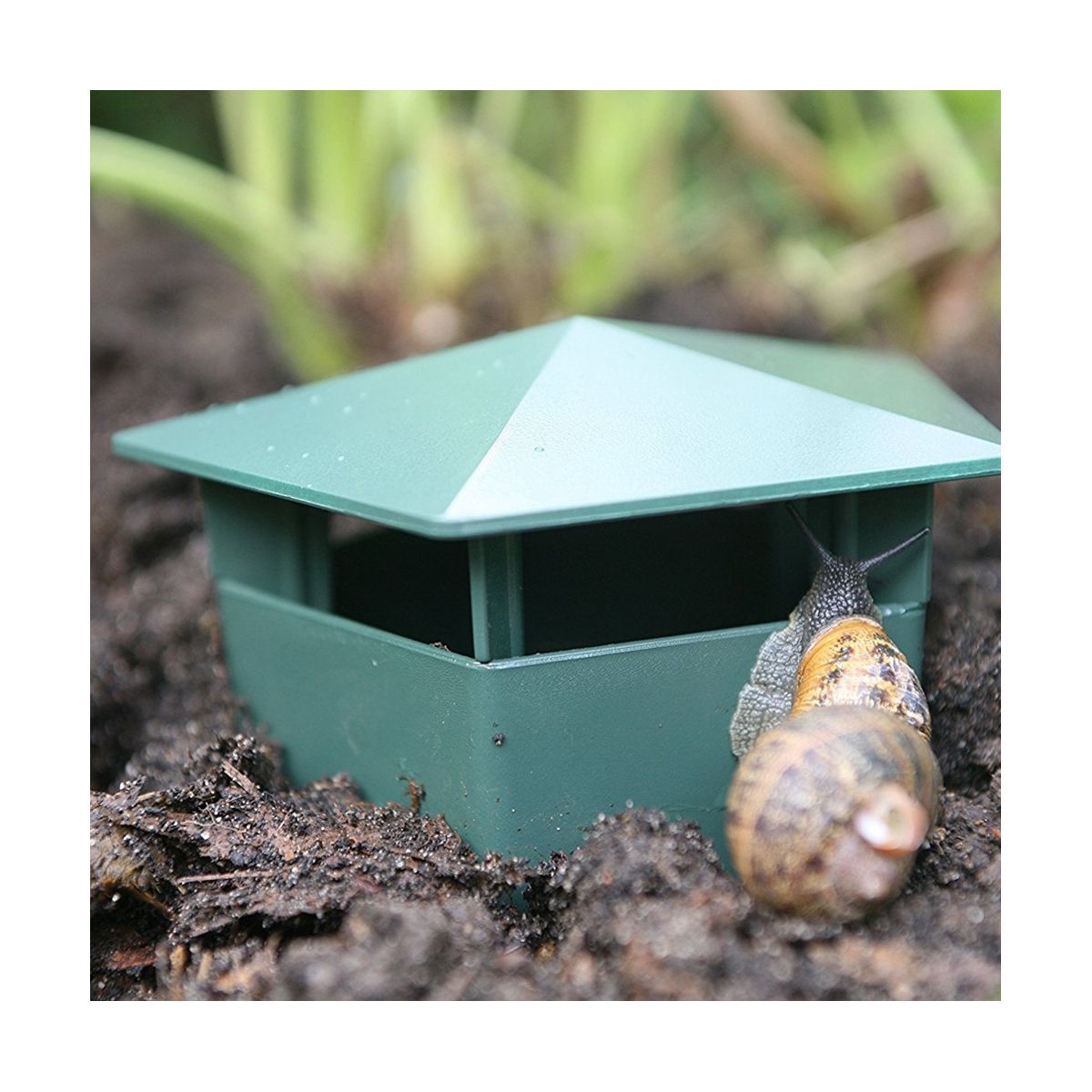 15PCS Snail Cage House Snail Trap Catcher Pests Tools Animal Pest Repeller Garden Farm Protector -Friendly