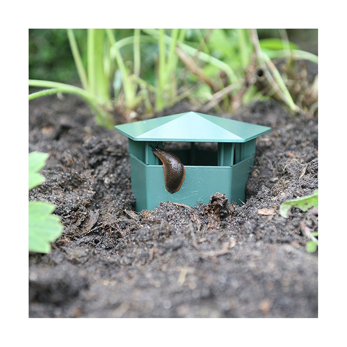 15PCS Snail Cage House Snail Trap Catcher Pests Tools Animal Pest Repeller Garden Farm Protector -Friendly
