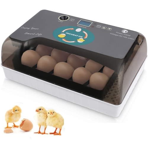 12 Automatic Eggs Incubator