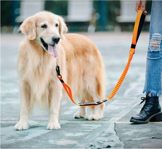 Multifunctional Heavy Duty Bungee Dog Leash Reflective Shock Absorbing Training Leash 2 Traffic Handle Dog Car Seat Belt