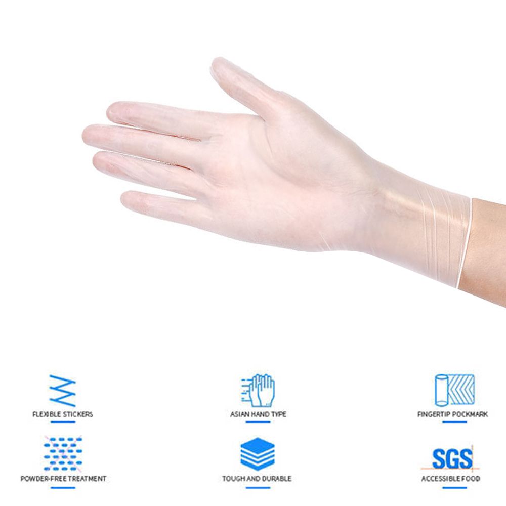 (L)50 Pcs/Disposable Gloves Powder-Free Stretchy PVC Gloves