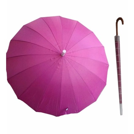 Umbrella with Folding Case