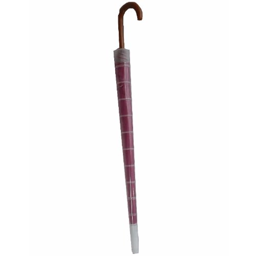 Umbrella with Folding Case