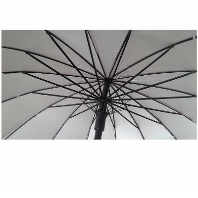 Umbrella with Folding Case
