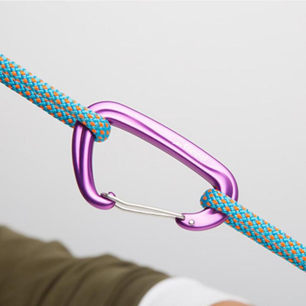 Quickdraw Wiregate D Type Safety Carabiner