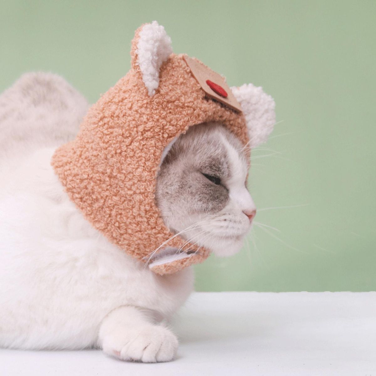 Cat Dog Headgear Cartoon Bear Ear Cat Dog Headgear Brown