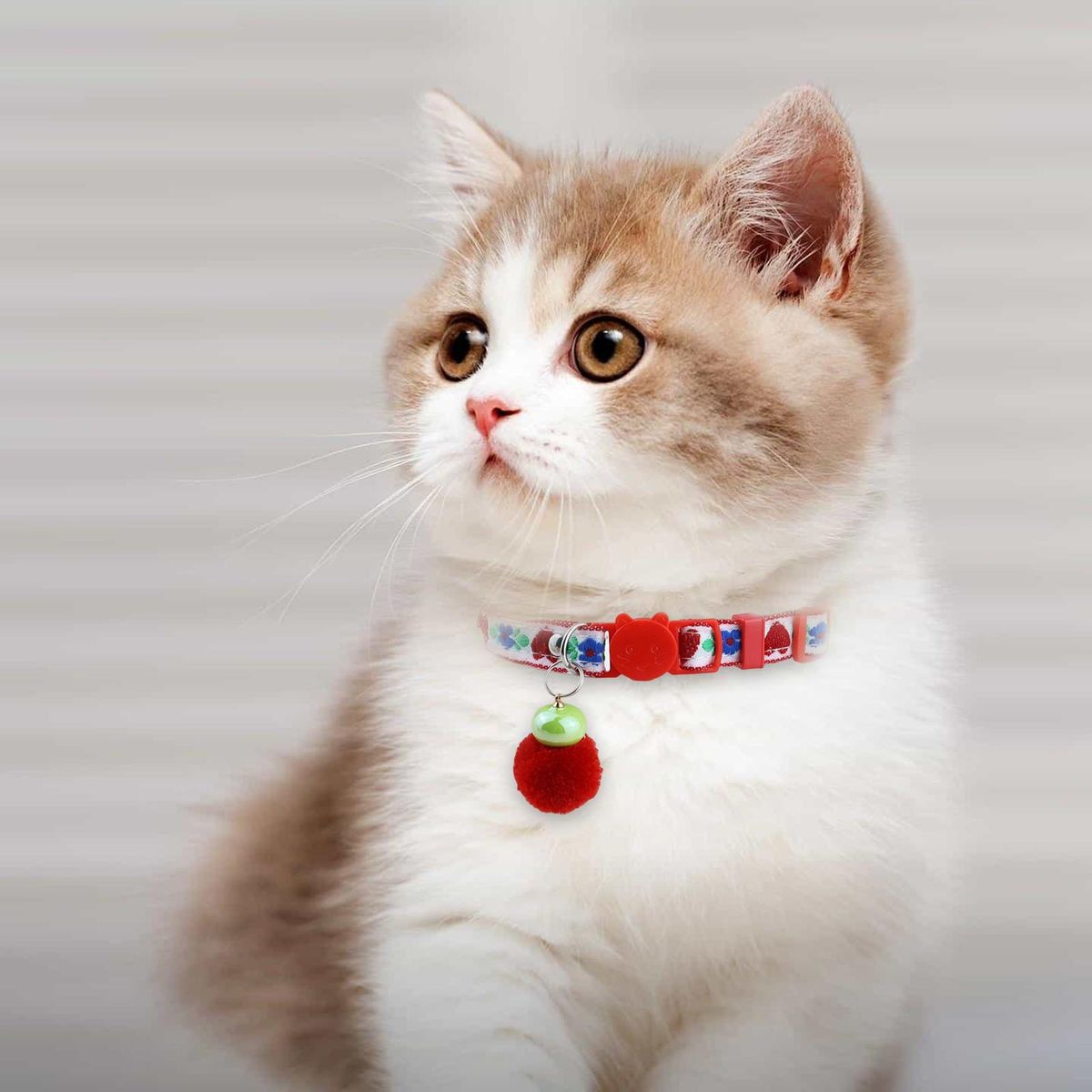 Cat Neck Strap Colorful Pattern Puppy Cat Necklace with Fur Ball Red