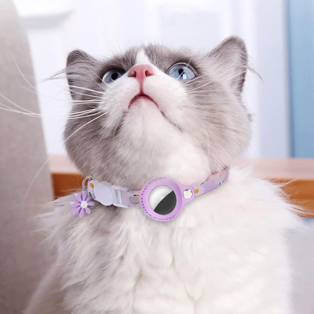 Pet Collar Protective Case Cover Pet Collar Purple