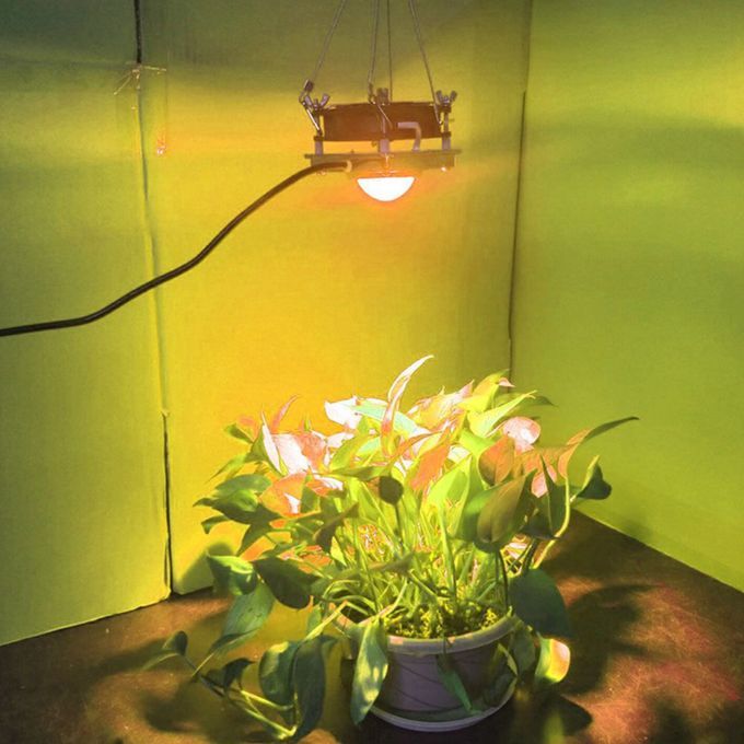 Growing Lamps LED Grow Light Plant Lighting For Plants Sunlight