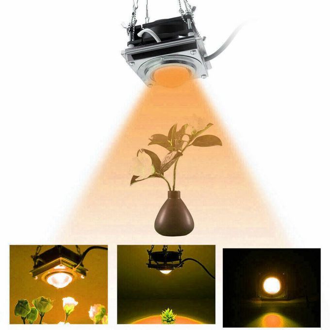 Growing Lamps LED Grow Light Plant Lighting For Plants Sunlight