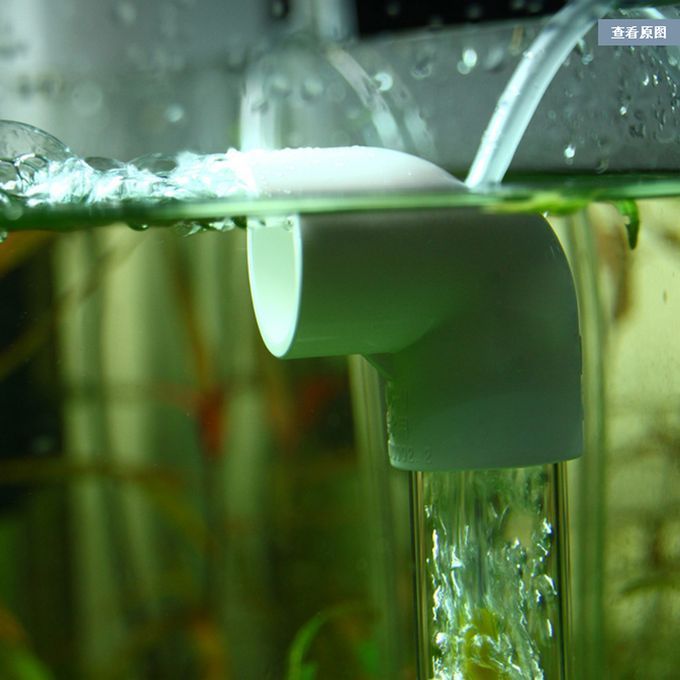 Aquarium Cichlids   Egg Incubator Tumbler   Hatchery MouthBrooding