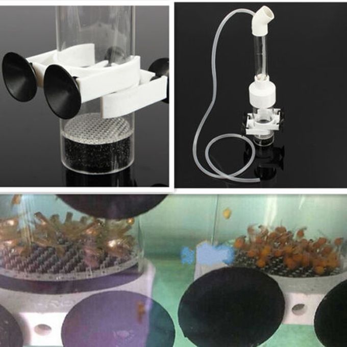Aquarium Cichlids   Egg Incubator Tumbler   Hatchery MouthBrooding