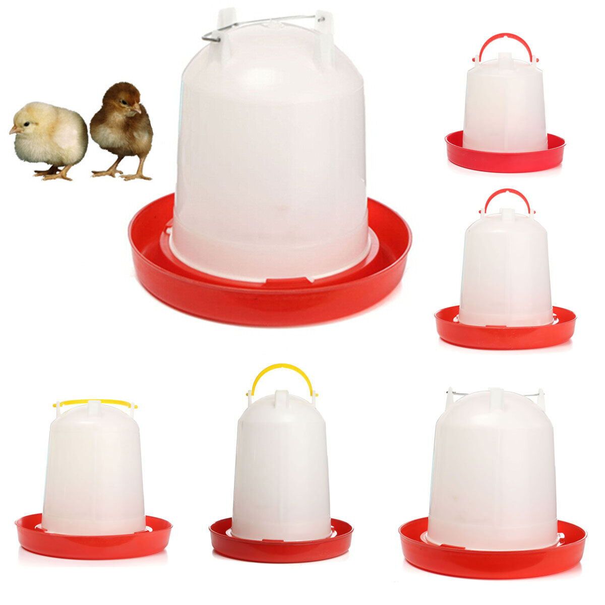 4L Plastic Poultry Chicken Drinking Water Feeder Drinker 4L