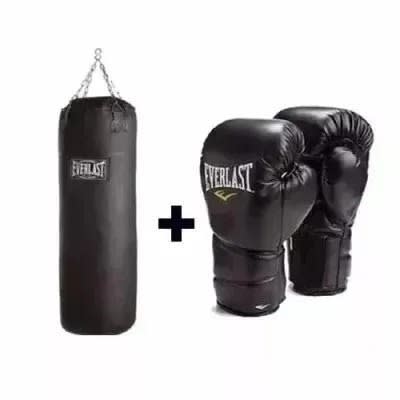 Everlast Punch Bag + Boxing Gloves