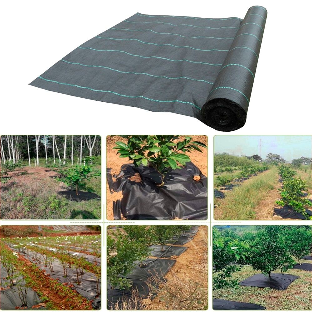 Agriculture Weed Barrierdscape Fabric Ground Cover Garden Mat Plastic Plant Grow Care-1.5X10M