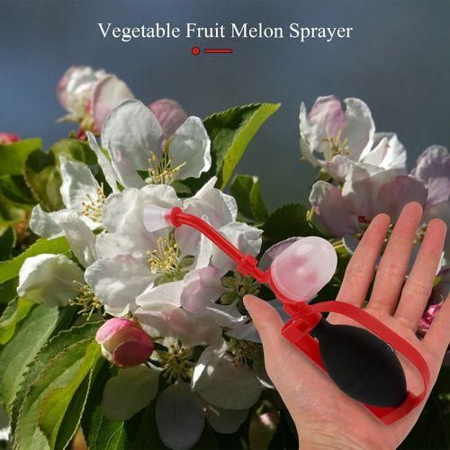 Pollinator Tomato Pollinator Tomato Peach Tree