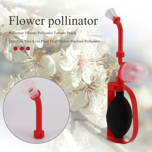 Pollinator Tomato Pollinator Tomato Peach Tree