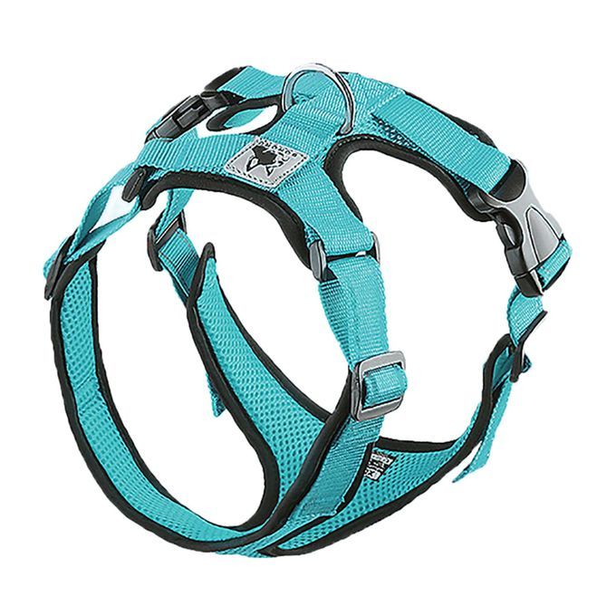 Dog Harness Easy Wear Head Collars Safety For Outdoor Small Blue XL