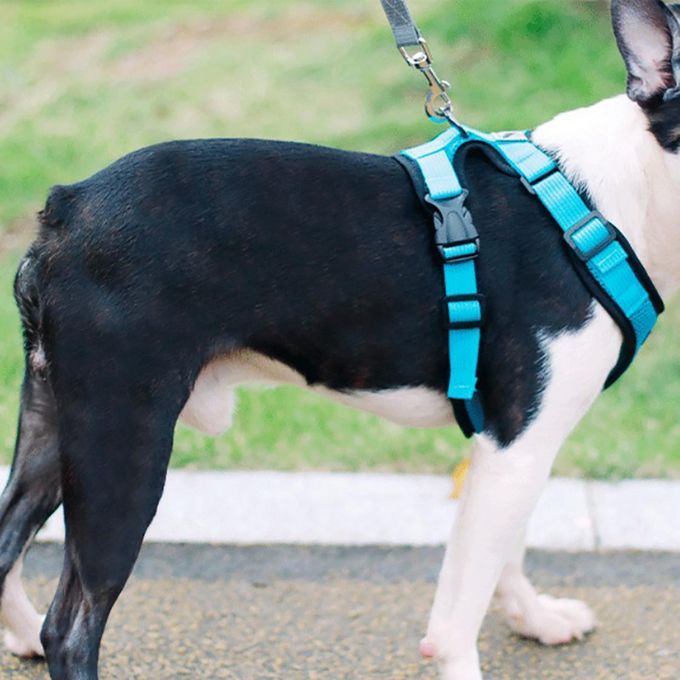 Dog Harness Easy Wear Head Collars Safety For Outdoor Small Blue XL