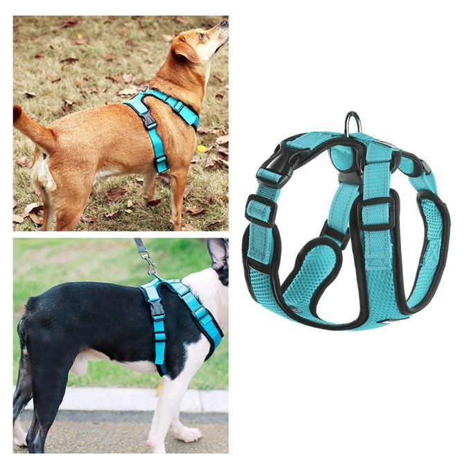 Dog Harness Easy Wear Head Collars Safety For Outdoor Small Blue XL