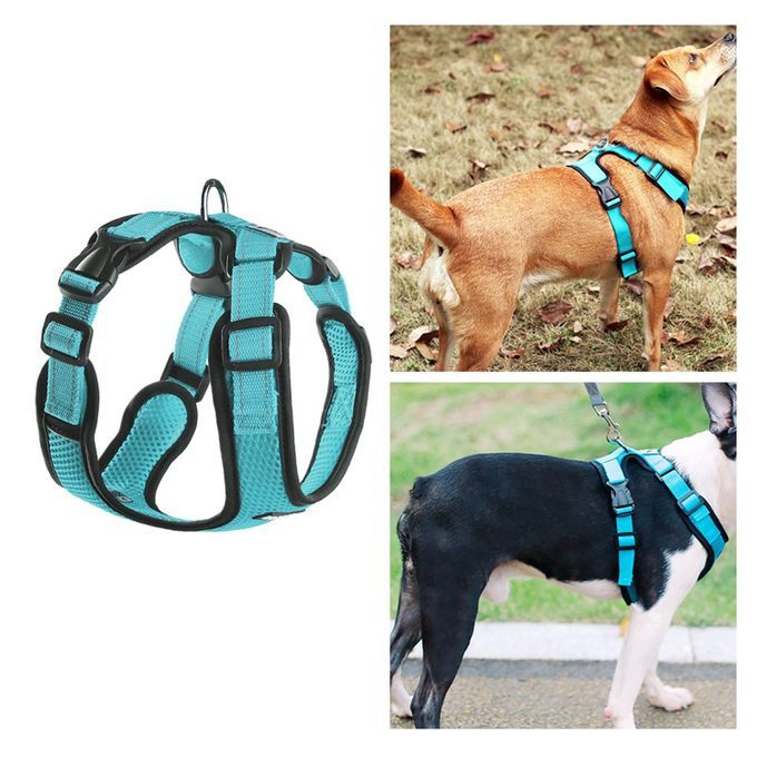 Dog Harness Easy Wear Head Collars Safety For Outdoor Small Blue XL